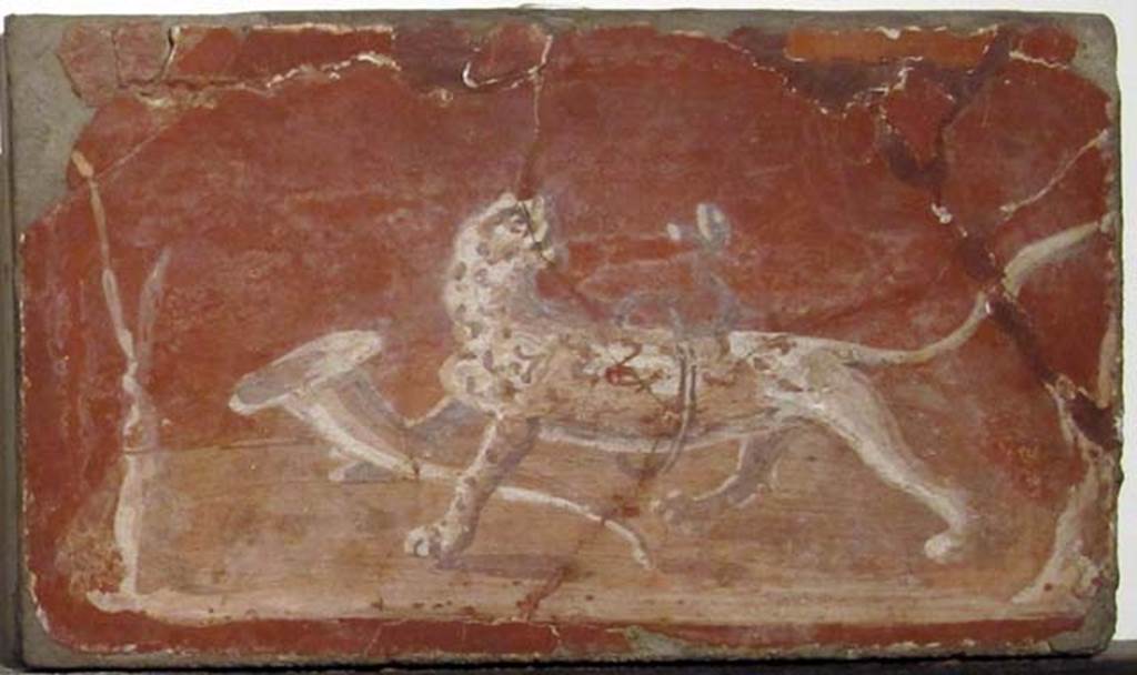 Villa dei Papiri, Herculaneum. Fresco of panther with ring and rhyton.
Now in Naples Archaeological Museum. Inventory number 8779.